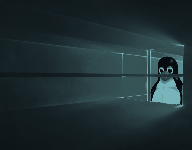 Windows ou Linux : quel système choisir pour une entreprise ?